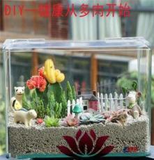 上海清繪園藝養(yǎng)護(hù)服務(wù) 以專業(yè)匠心，守護(hù)城市綠意之美